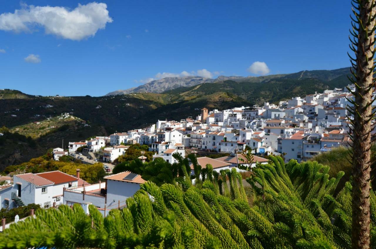 Posada La Plaza Canillas de Albaida Exterior foto